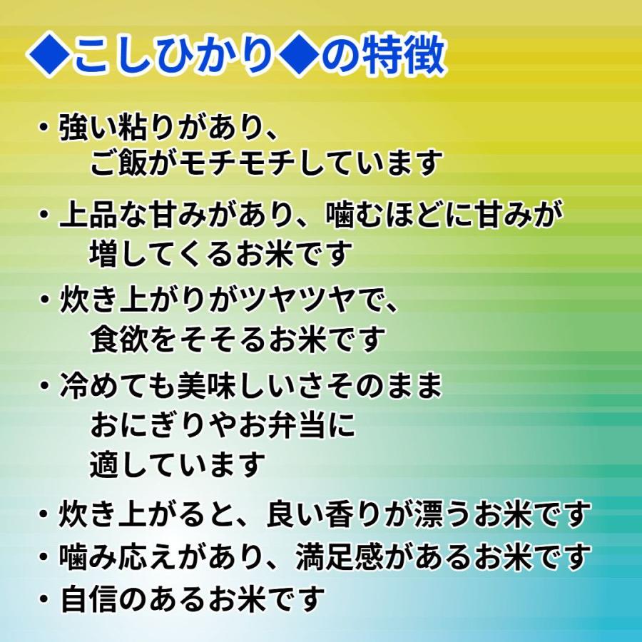 白米】【精米】広島県産こしひかり 20kg (5kgx4袋) 令和7年産 冷めて 