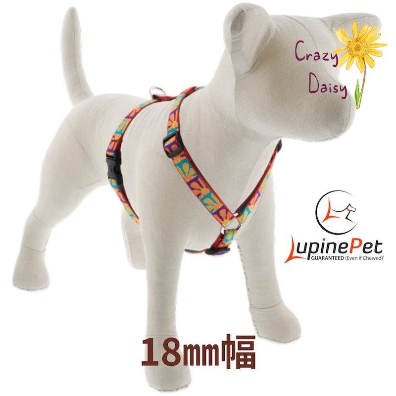 Rハーネス Lサイズ・クレイジーデイジー柄 51〜81cm LUPINE ルパイン アメリカ製 Crazy Daisy 379CR20