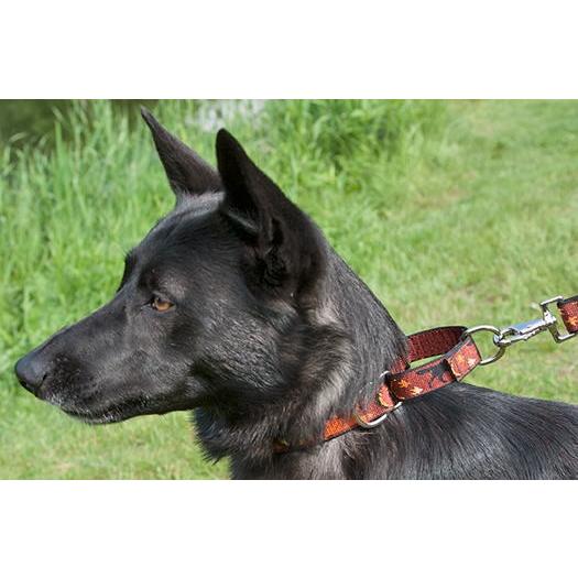 ハーフチョークカラー シャドーハンター ｍサイズ ３８ 55ｃｍ 中 大型犬用２５ｍｍ幅 Lupineルパイン 380sm スマイルドッグ愛犬グッズ専門店 通販 Yahoo ショッピング