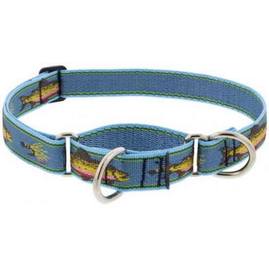 ハーフチョークカラー【Big Fish柄】Mサイズ（38〜55cm）中〜大型犬用25mm幅 LUPINEルパイン 389BMスマイルドッグ