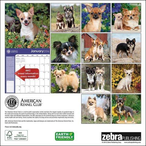 Akc チワワ 16年カレンダー アメリカ直輸入 新品 C186 スマイルドッグ愛犬グッズ専門店 通販 Yahoo ショッピング