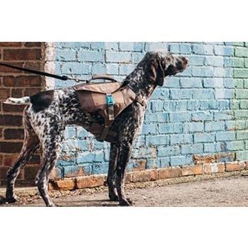 ｌ ｘｌサイズ デンバーアーバンパック Outward Hound Denver Urban Pack 犬用リュック 犬用バックパック Du Lxl スマイルドッグ愛犬グッズ専門店 通販 Yahoo ショッピング