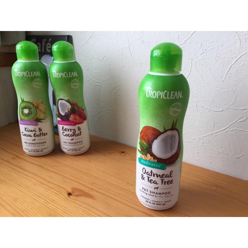 爆売り シャンプー オートミール ティーツリーtropiclean トロピクリーン Medicated Oatmeal Tea Tree 100 ナチュラル アメリカ製 大容量592ｍｌ 犬猫用 Whitesforracialequity Org