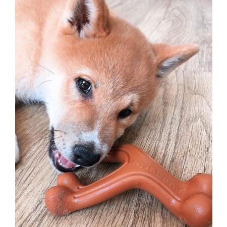 ナイラボーン ウィッシュボーン ジャイアントサイズ バイソン風味 Nwb スマイルドッグ愛犬グッズ専門店 通販 Yahoo ショッピング