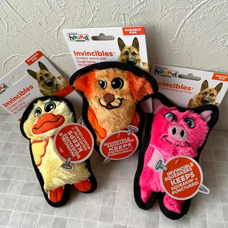 invincibles dog toys