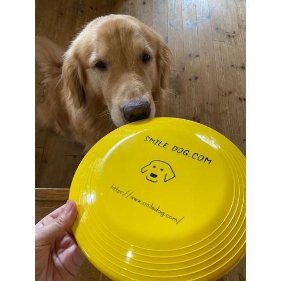 8枚 フライングディスク ディスク フリスビー NDA JFA AWI K9 8枚 フライングディスク ディスク フリスビー NDA JFA AWI K9