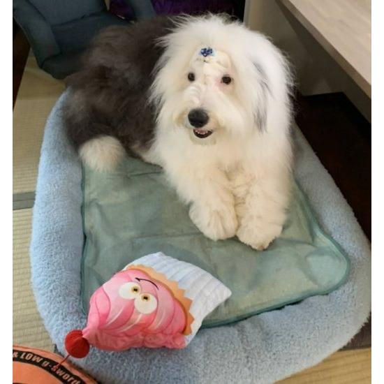 ジャンボ ファンフード 犬用おもちゃ 犬用ぬいぐるみ ビッグサイズ