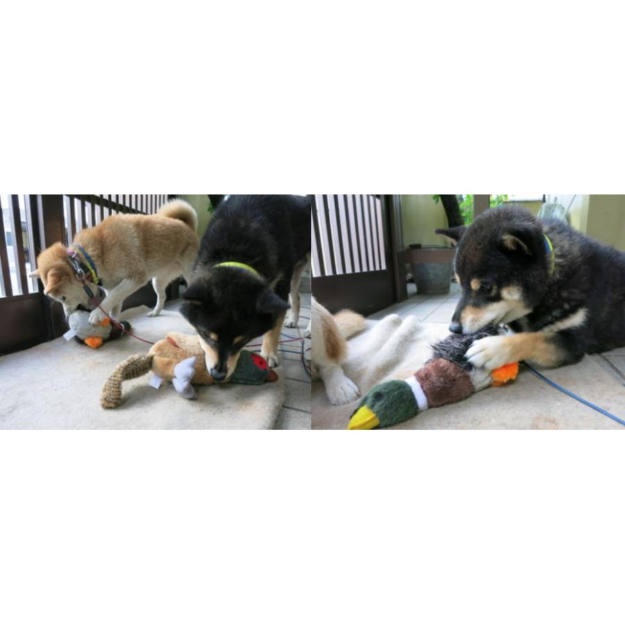 ハンタードッグ　カモ　犬用 アメリカ直輸入　ぬいぐるみ Grriggles Squawk Flock Dog Toys｜smiledog1779｜03