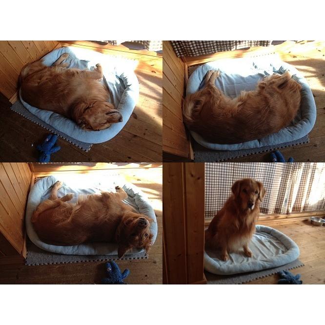 シェルパクレートマット　XLサイズ１２２ｘ７６ｘ9ｃｍ アイボリー　超大型犬までOK アメリカ直輸入　バンパースタイル　落ち着く　よく眠れる_4