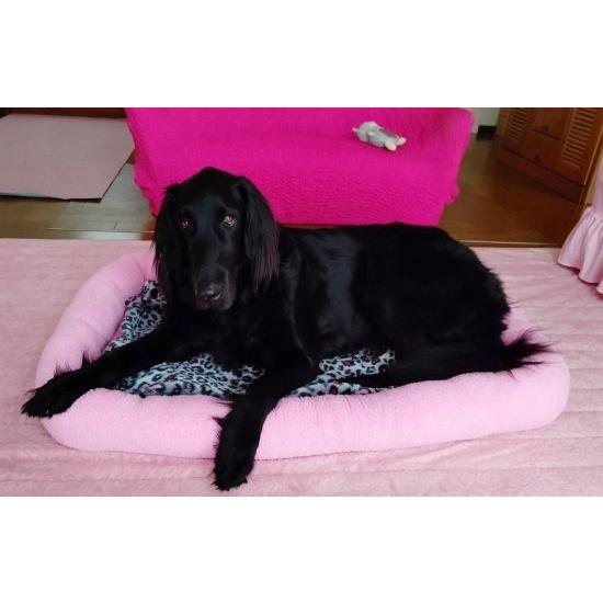 シェルパクレートマット　XLサイズ１２２ｘ７６ｘ9ｃｍ アイボリー　超大型犬までOK アメリカ直輸入　バンパースタイル　落ち着く　よく眠れる_6
