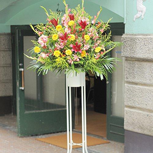 海外正規品 スタンド花 一段おまかせ 1 2万円コース 開店祝い 開業祝い 移転祝い 公演祝いのフラワーギフトに 全商品オープニング価格特別価格 Atempletonphoto Com