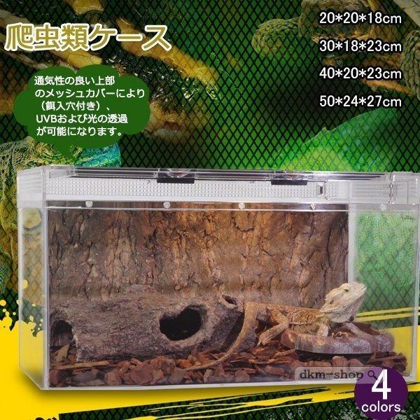 激安アウトレット即納 グラステラリウム 爬虫類 両生類 トカゲ リクガメ飼育キット 飼育用ケース 組立式 組立式 水槽 飼育ケージ ケージ アクセサリー トカゲ リクガメ飼育キット ガラスケージ P Smilehunterfourth メーカー直送ランキング1位