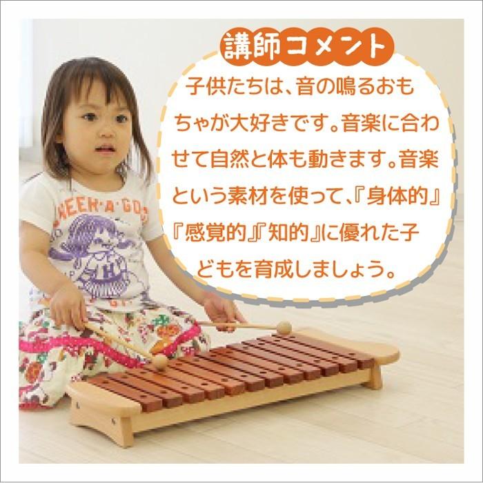 プレイミー PlayMeToys 木のおもちゃ 楽器玩具 木琴 サイロフォン 12音