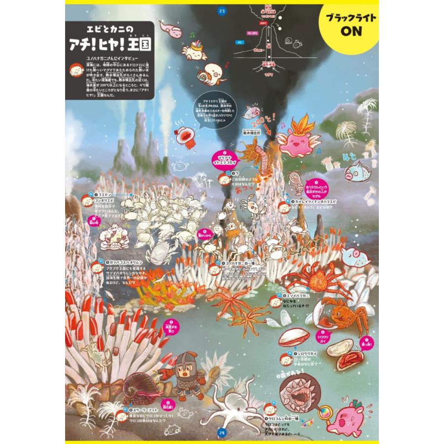 ブラックライトでさがせ 深海の不思議な生きもの ライト別売 絵本 しかけ絵本 幼児 3歳 4歳 5歳 6歳 小学生 Pie 09 おもちゃのお店 スマイルキッズ 通販 Yahoo ショッピング
