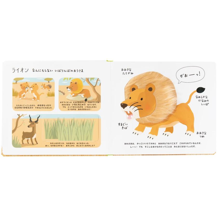 さわれるまなべる やせいのどうぶつ 絵本 しかけ絵本 幼児 0歳 1歳 2歳 3歳 定形外郵便対応 Pie 24 おもちゃのお店 スマイルキッズ 通販 Yahoo ショッピング