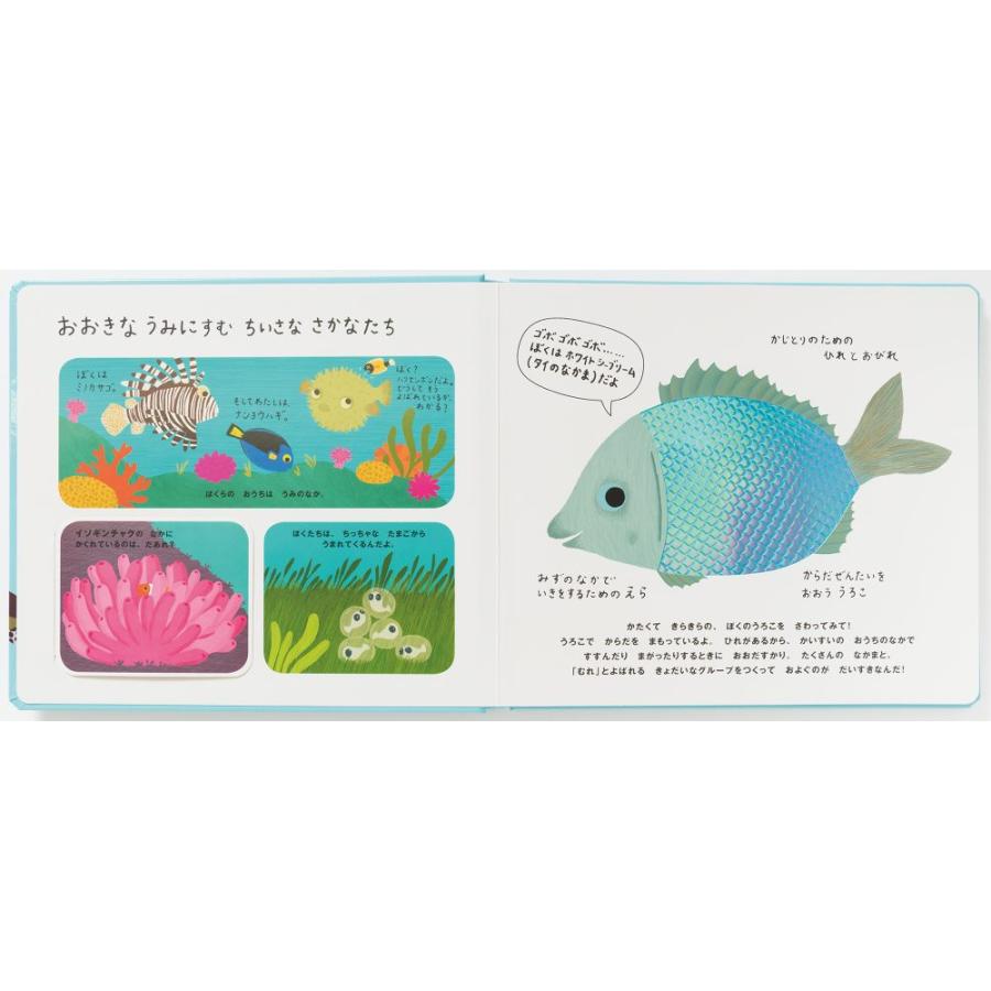 さわれる まなべる うみのいきもの 絵本 しかけ絵本 幼児 0歳 1歳 2歳 3歳 定形外郵便対応 Pie 28 おもちゃのお店 スマイルキッズ 通販 Yahoo ショッピング