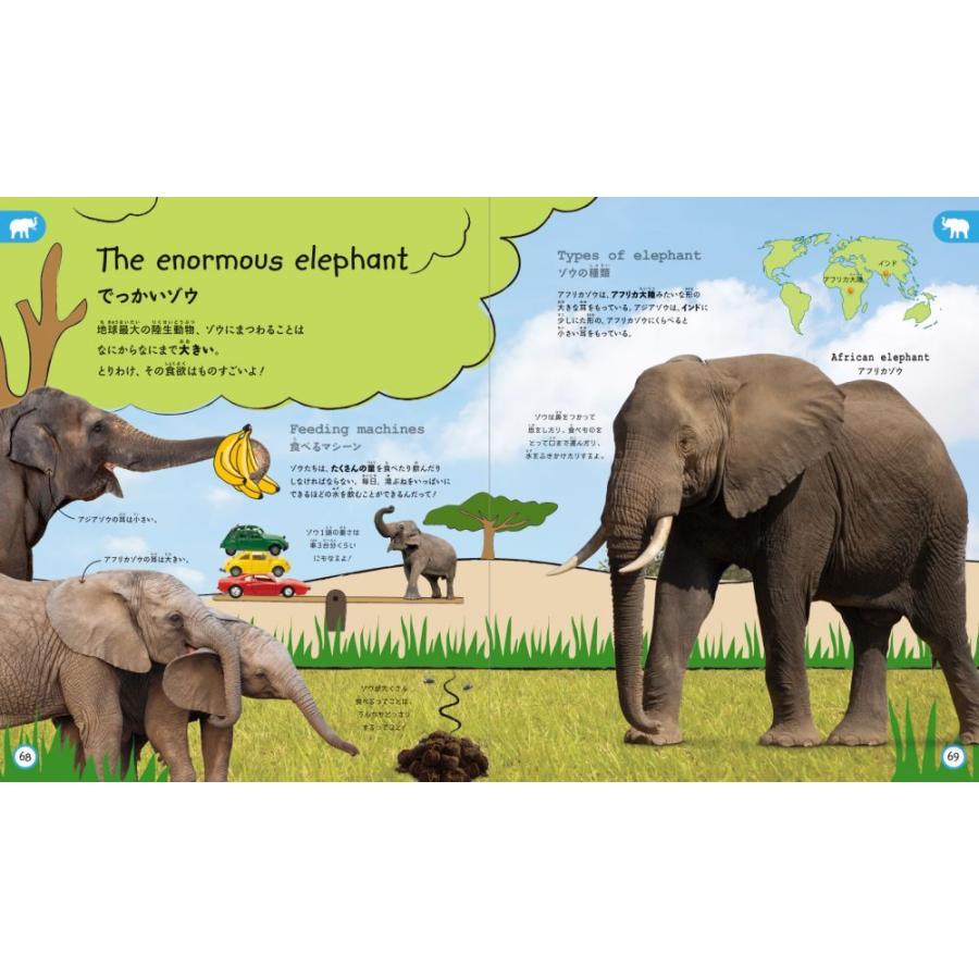 これだけは知っておきたい どうぶつ 図鑑 ずかん 絵本 幼児 0歳 1歳 2歳 3歳 4歳 5歳 Pie 54 おもちゃのお店 スマイルキッズ 通販 Yahoo ショッピング