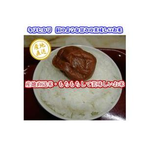 令和6年産 和歌山県産キヌヒカリ白米5キロ×2 : 紀州 スマイル