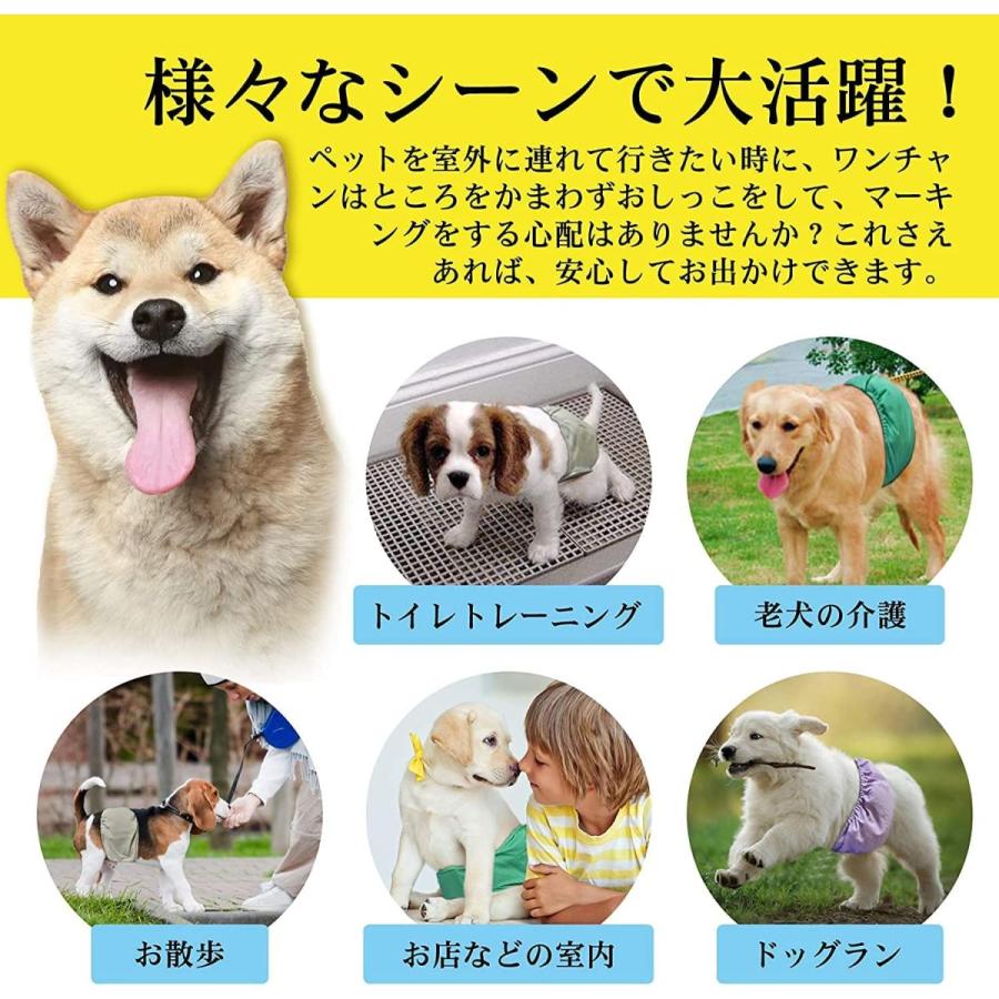 犬マナーベルト マナーパンツ 犬用 オス 男の子 メッシュ裏地 吸収層