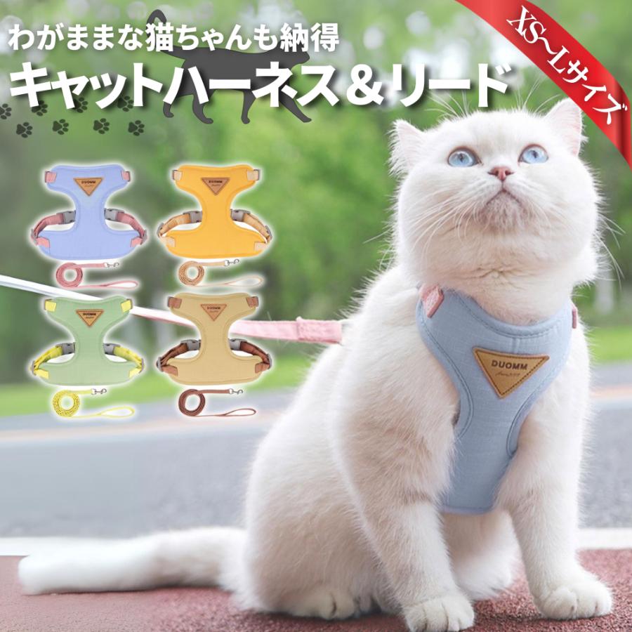 猫ちゃん　割れあり　節抜けあり　現品処分 猫ちゃん 割れあり 節抜けあり 現品処分 maxresdefault.jpg