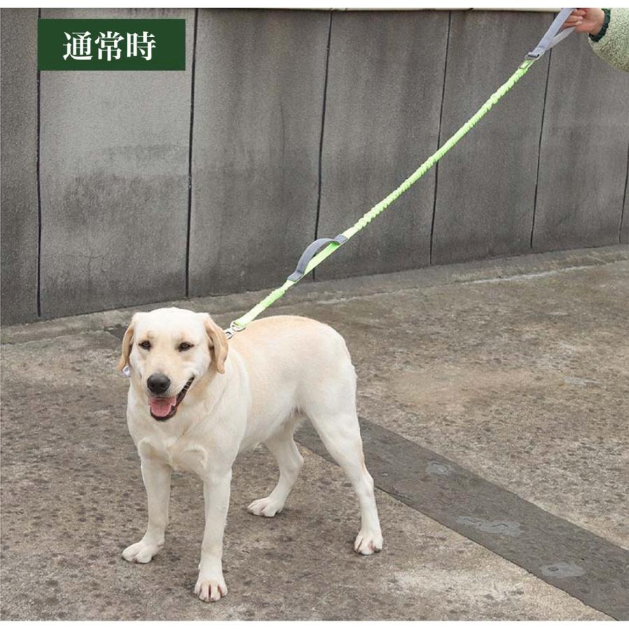 犬 リード 犬用 リード 伸縮リード ロングリード ハンドル付き 大型犬 中型犬 小型犬 トレーニング 犬のリード のび〜るリード ...