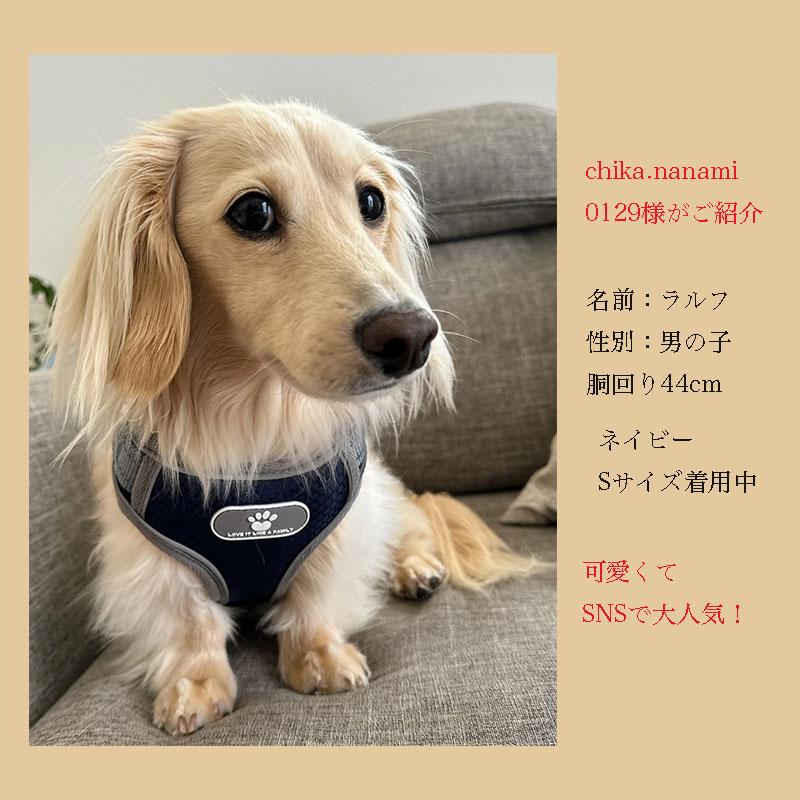 犬 ハーネス 中型犬 小型犬 柴犬 抜けない 抜けにくい ロック 犬 ハーネス 中型犬 小型犬 柴犬 抜けない 抜けにくい ロック