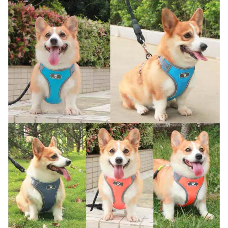 犬 ハーネス 中型犬 小型犬 柴犬 抜けない 抜けにくい ロック 負担の少ない ステップハーネス ウェアハーネス 犬用 介護用 首輪 ハンドル付き 送料無料 ネコポス |  | 08