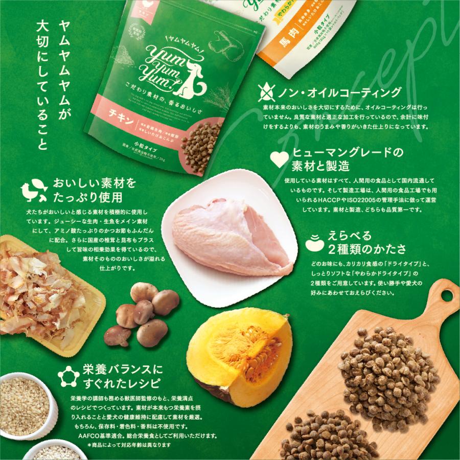 ヤムヤムヤム シニア&ライトチキン ドライ 1.3kg×2袋 シニア犬 【公式