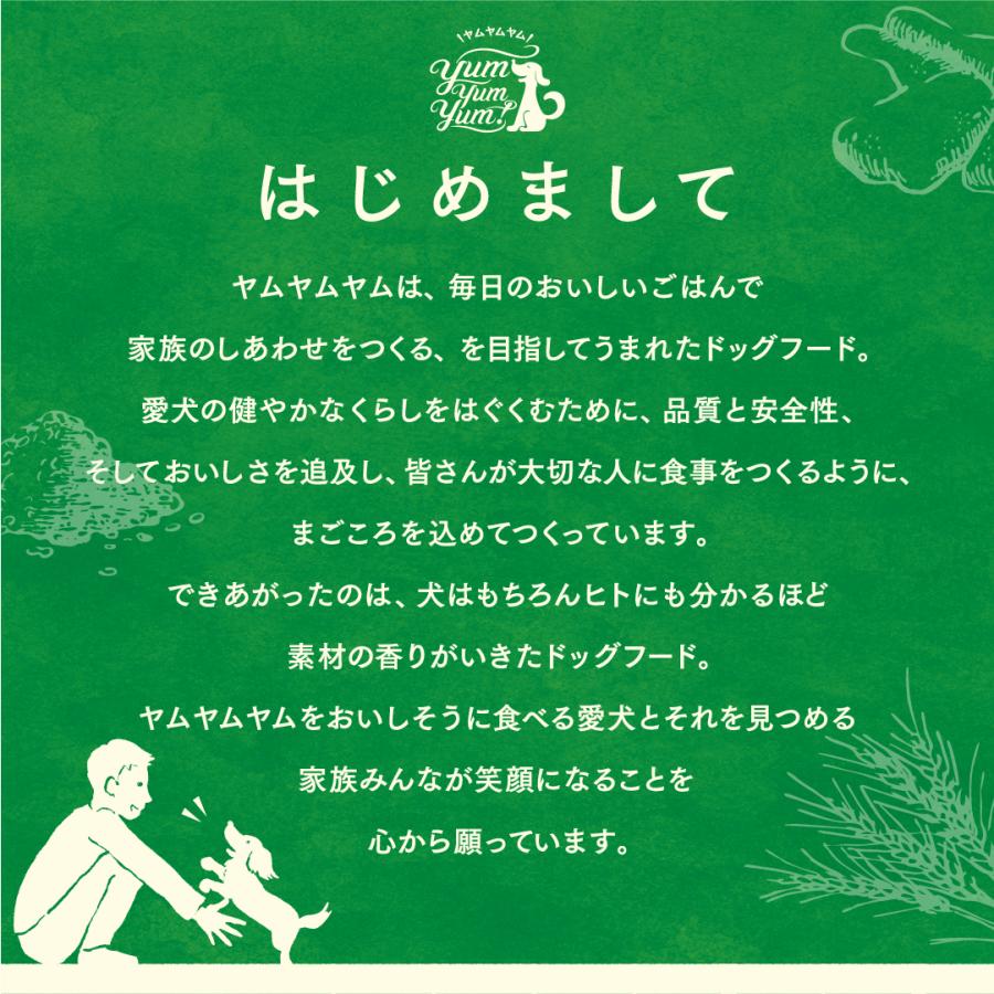 ヤムヤムヤム 健康マネジメント 腎臓 ドライタイプ 1.3kg 3袋