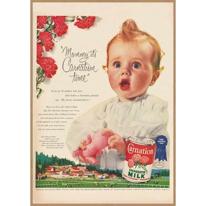 屋根の上の赤ちゃん USオリジナル映画ポスター 屋根の上の