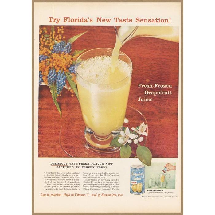 冷凍 グレープフルーツジュース レトロミニポスター B5サイズ 複製広告