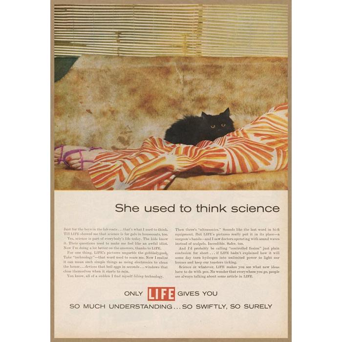 ネコ アメリカ雑誌 販促広告 レトロミニポスター B5サイズ 複製広告