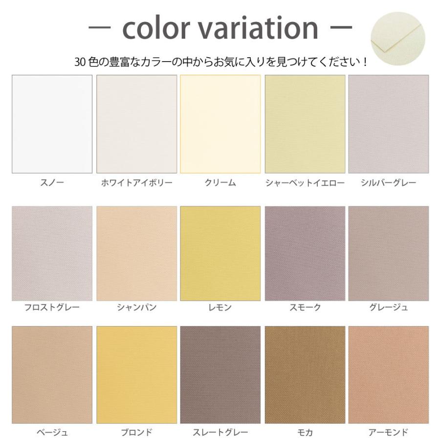 立川機工 ロールスクリーン 洗える 洗濯可 ロールカーテン 30色 選べる