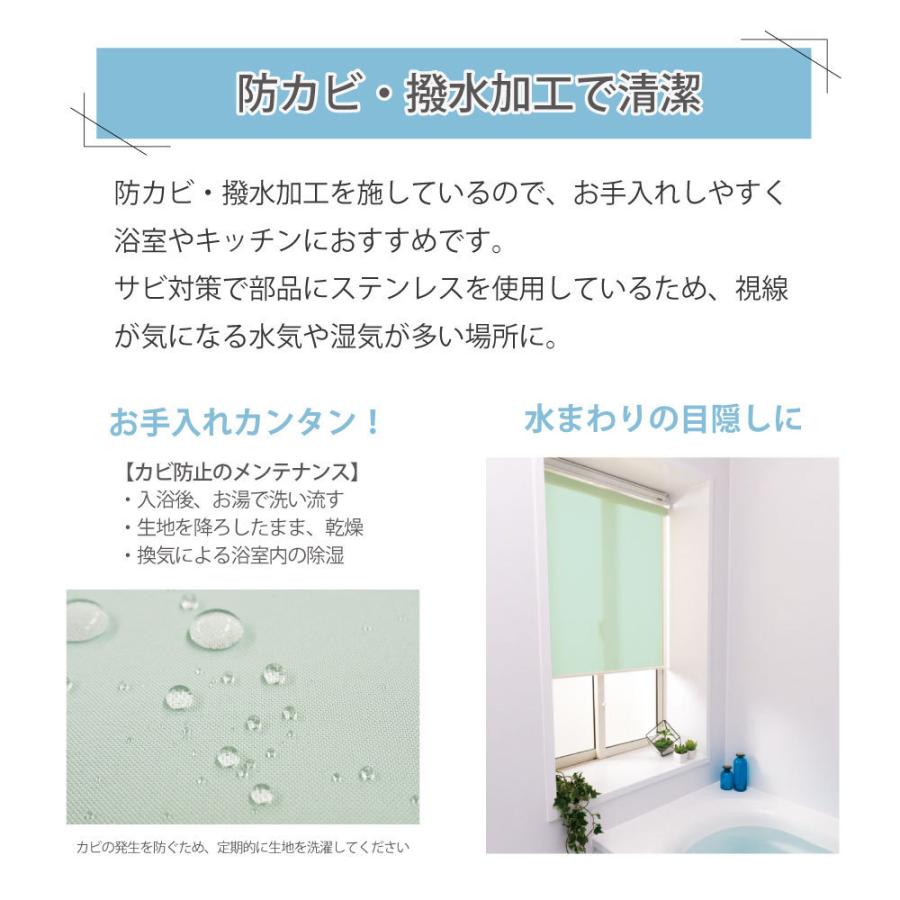 立川機工 ロールスクリーン 浴室 お風呂 脱衣場 ロールカーテン 5色
