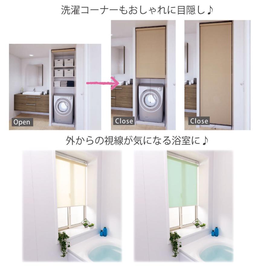立川機工 ロールスクリーン 浴室 お風呂 脱衣場 ロールカーテン 5色
