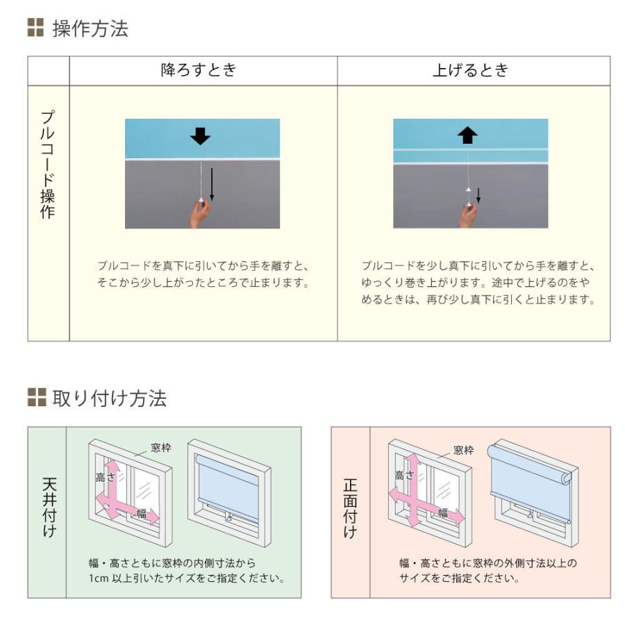 立川機工 ロールスクリーン 浴室 お風呂 脱衣場 ロールカーテン 5色