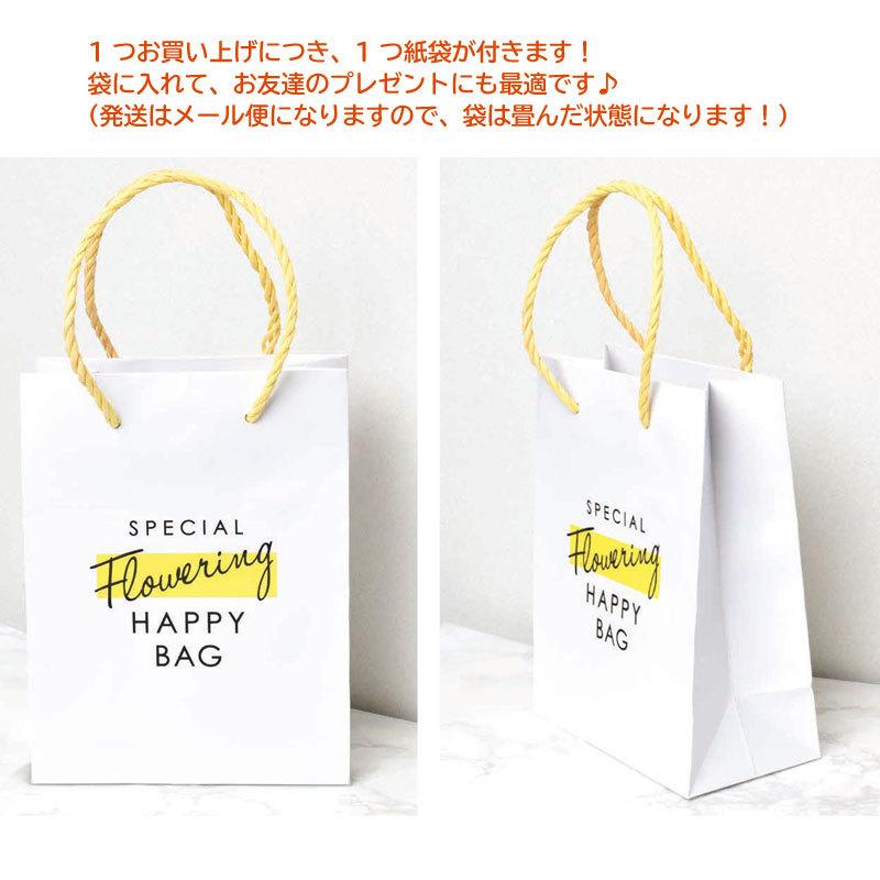 福袋 21 アクセサリー レディース アクセサリー福袋 ヘアアクセサリー ポーチ ピアス イヤリング ミラー ポーチ ブレスレット 10点 セット おすすめ 新春 Acce 0004 雑貨のセレクトショップsmileme 通販 Yahoo ショッピング