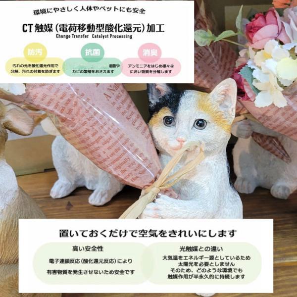 きょんブーケ♡ ラッピング付き 母の日 プレゼント CT触媒 ミニョンブーケ アニマル