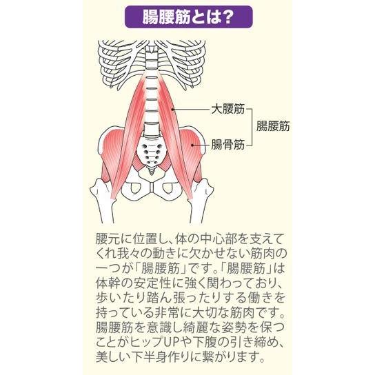 骨盤矯正 骨盤ガードル 美腹ガードル ハーフガードル 同色3枚 着圧