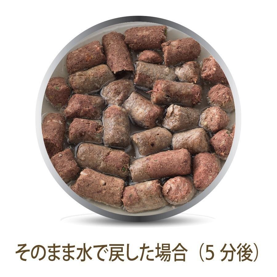 正規代理店K9ナチュラル フリーズドライ・フード500g（2kg相当) 犬用