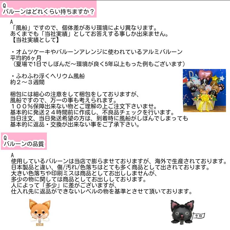 おむつケーキ ディズニー ミニーマウス ミッキーマウス 出産祝い バルーン オムツケーキ 男の子 女の子 ミッキー ミニー 名入れ 出産祝い おむつケーキ 出産祝い スマイルポップ 通販 Yahoo ショッピング