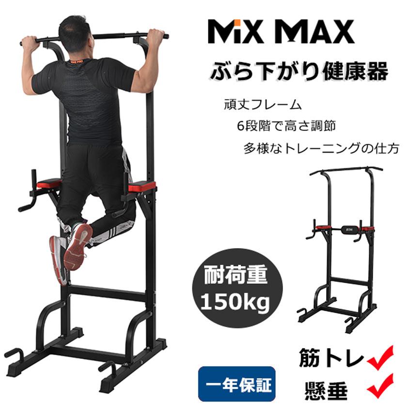 輝く高品質な 1年間保証 ぶら下がり健康器 トレーニング ぶら下がり 健康器具 筋トレ マシン 懸垂器具 チンニング ドアジム フィットネス チンニングマシン 早割クーポン Zoetalentsolutions Com