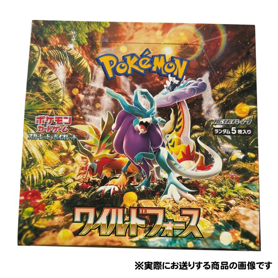 ポケモンカードゲーム 【即日発送】【送料無料】2BOXセット ポケモンカードゲーム 【即日発送】【送料無料】2BOXセット