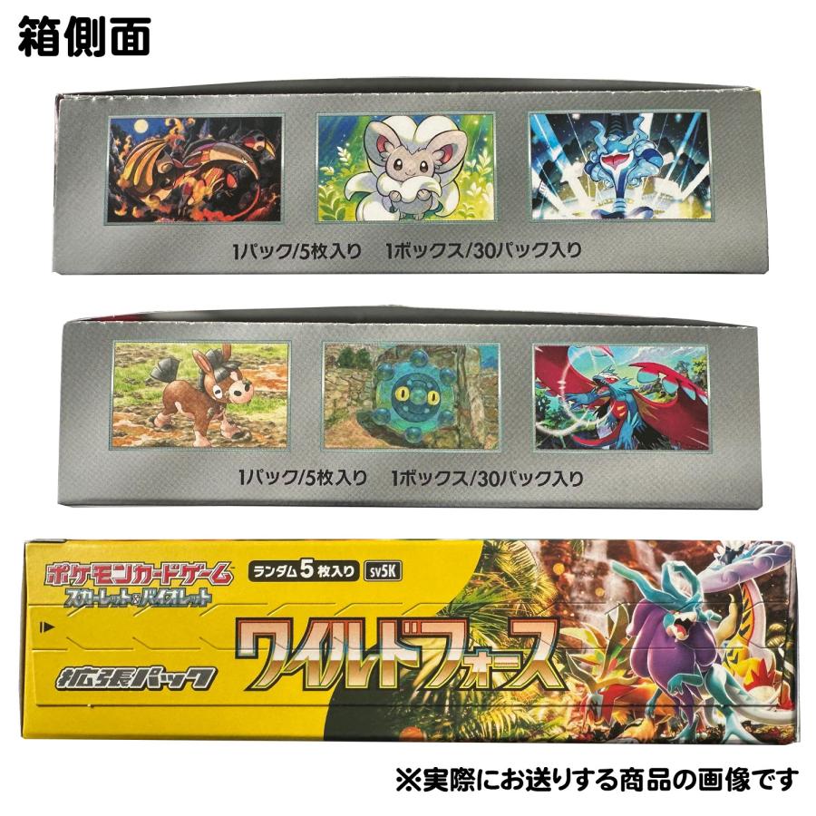 ポケモンカードゲーム 【即日発送】【送料無料】2BOXセット ポケモンカードゲーム 【即日発送】【送料無料】2BOXセット