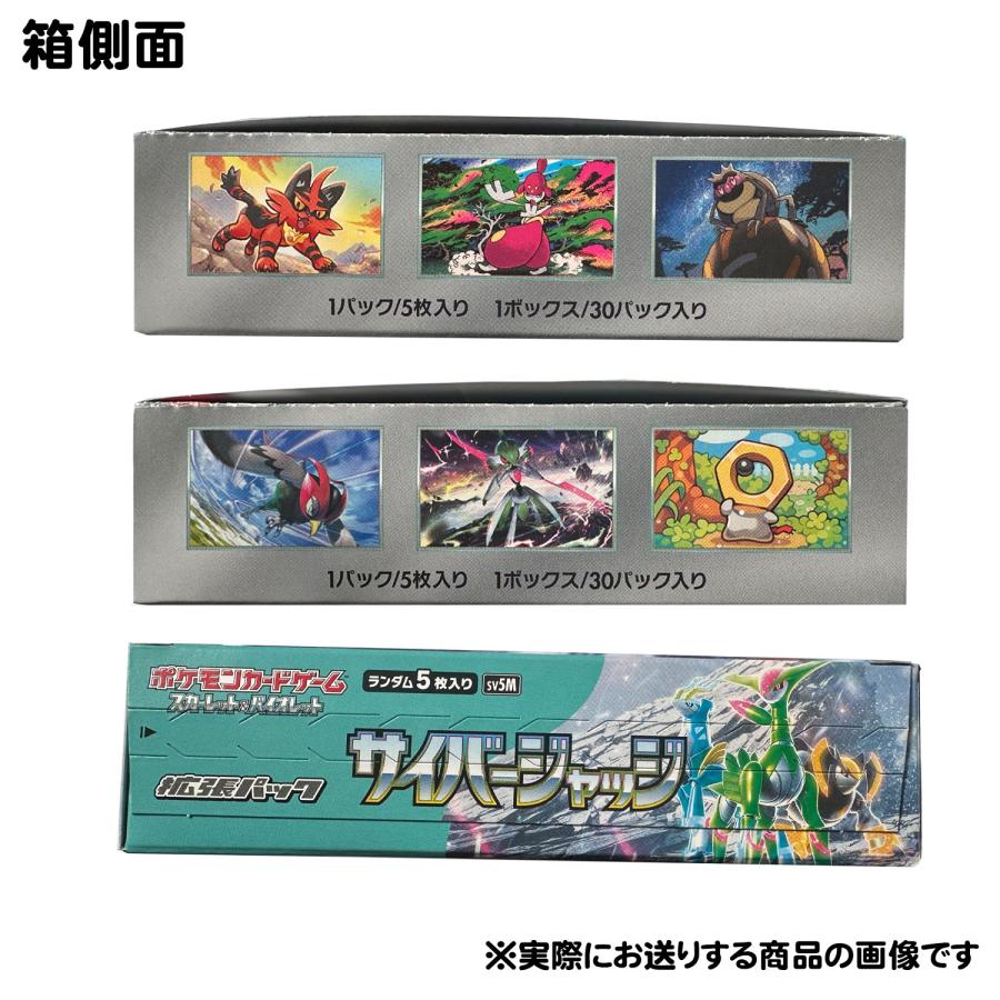ポケモンカードゲーム 【即日発送】【送料無料】2BOXセット ポケモンカードゲーム 【即日発送】【送料無料】2BOXセット