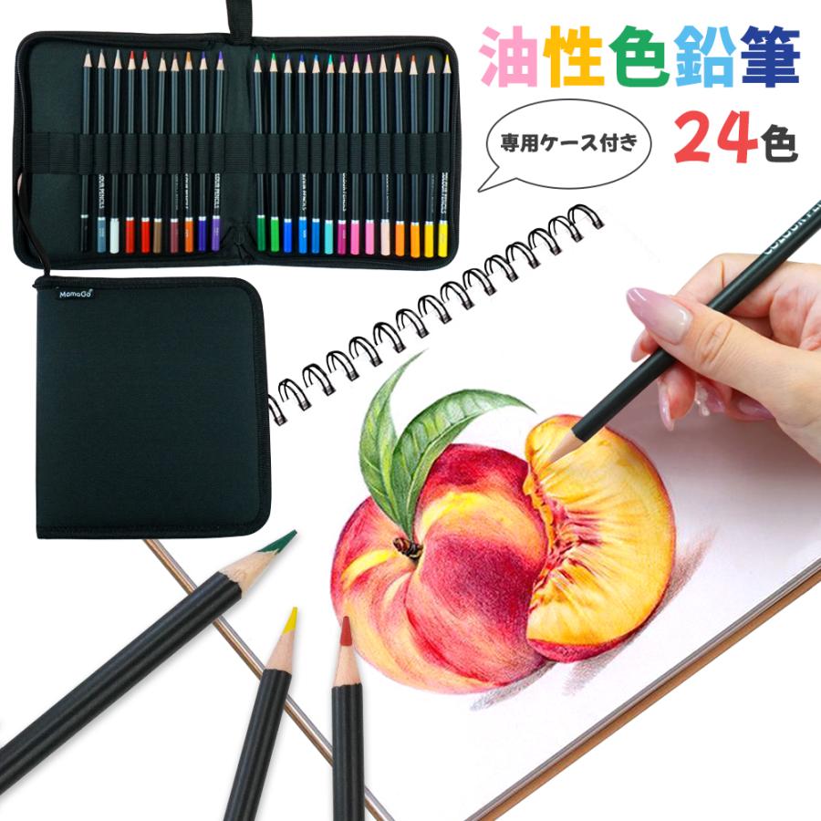 油性色鉛筆 24色セット 塗り絵 ぬりえ 子供 大人 スケッチ お絵かき