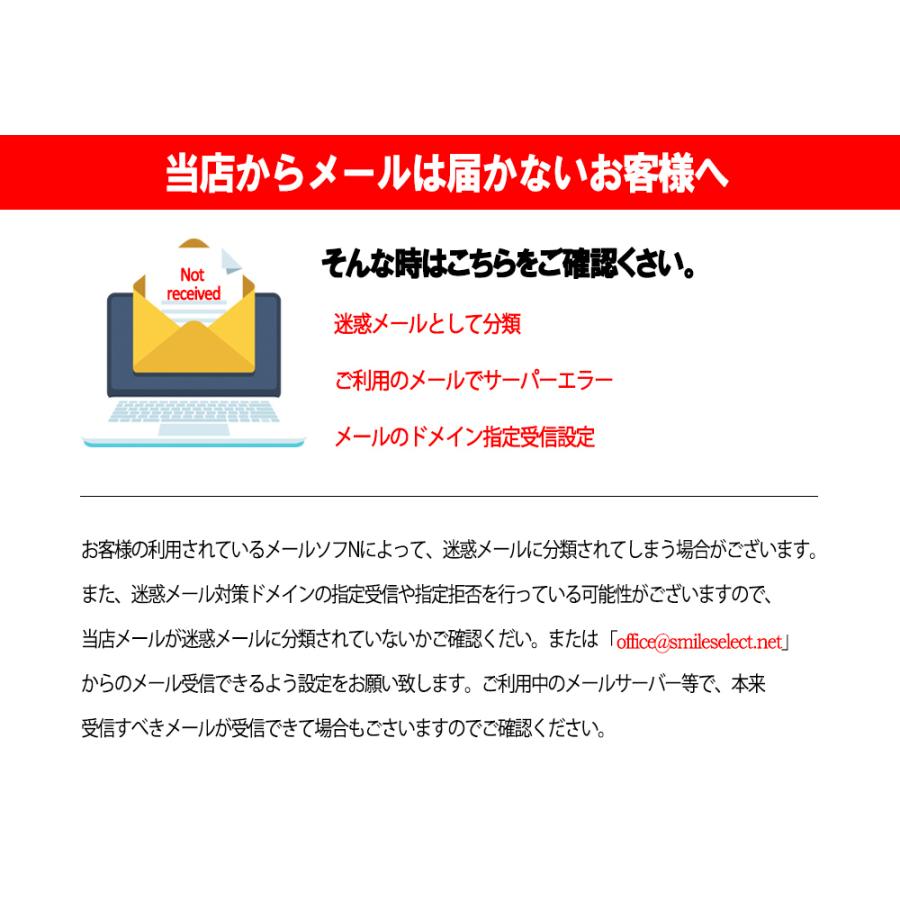 バランスブロック でこぼこ 子供用 平均台 飛び石 11ピース 筋力 柔軟 体幹 運動 トレーニング スポーツ 知育玩具 室内遊具 クリスマスプレゼント｜smileselect｜14