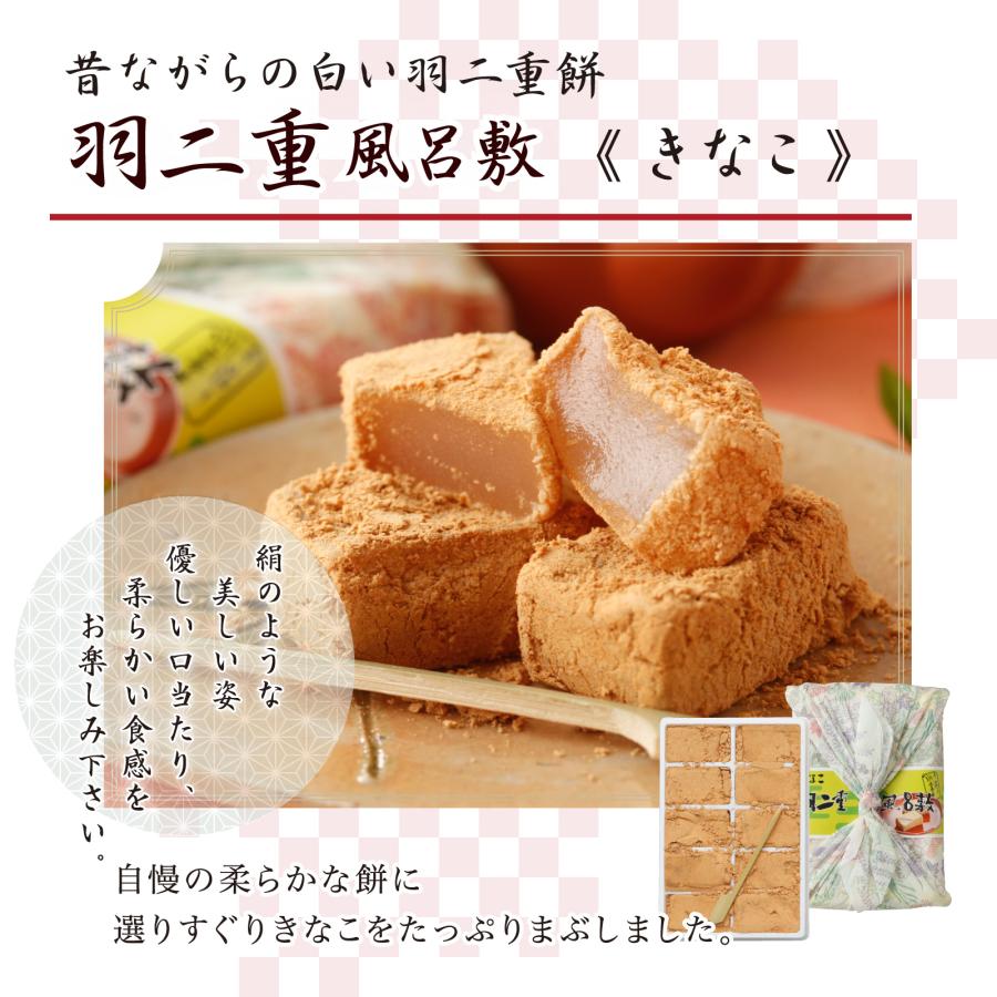 羽二重風呂敷 きなこ 10個入り 羽二重餅 1000円ポッキリ 餅 和菓子 スイーツ お菓子 福井銘菓 ギフト お土産 お供え 内祝い お返し | 羽二重餅の古里 | 03