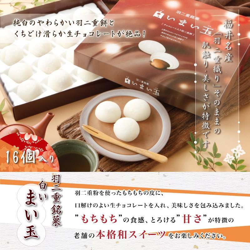 【在庫なし】羽二重餅 チョコ 入り 白いまい玉 16個入り チョコレート 餅 和菓子 スイーツ お菓子 福井銘菓 ギフト お土産 内祝い | 羽二重餅の古里 | 03