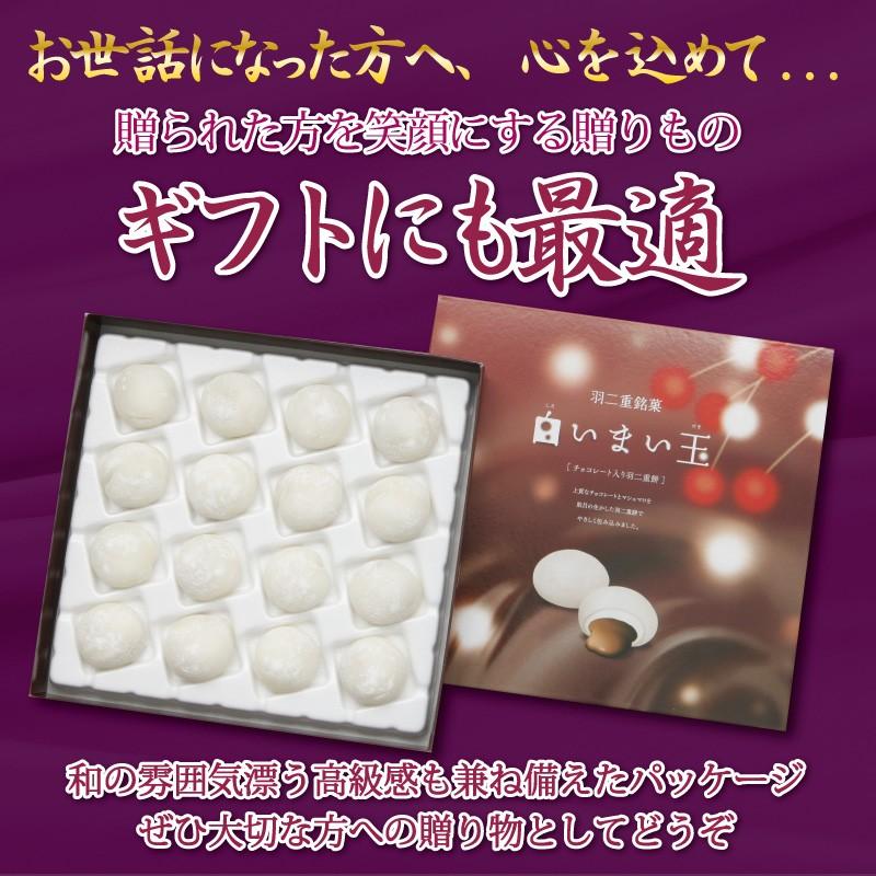 【在庫なし】羽二重餅 チョコ 入り 白いまい玉 16個入り チョコレート 餅 和菓子 スイーツ お菓子 福井銘菓 ギフト お土産 内祝い | 羽二重餅の古里 | 07